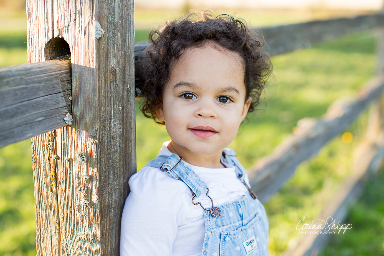 Corina Shipp Photography-Vancouver Children's Photographer-toddler on the farm
