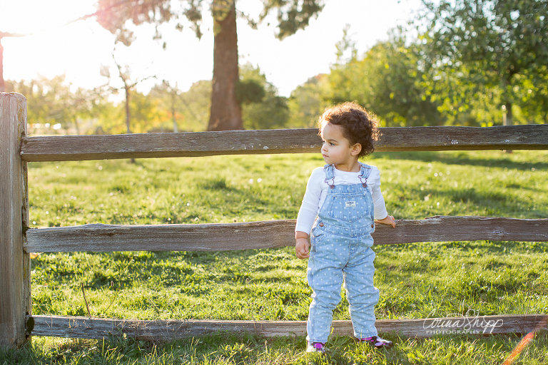 Corina Shipp Photography-Vancouver Children's Photographer-toddler girl leaning on split rail fence in field